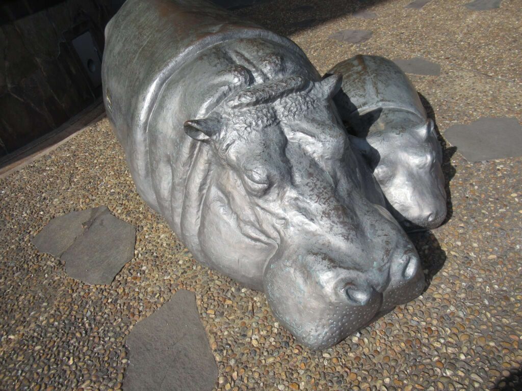 カバ親子@リバーウォーク北九州