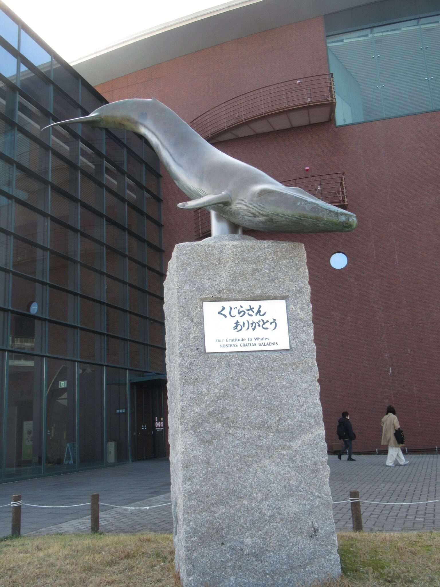 くじらさんありがとう像@あるかぽーと