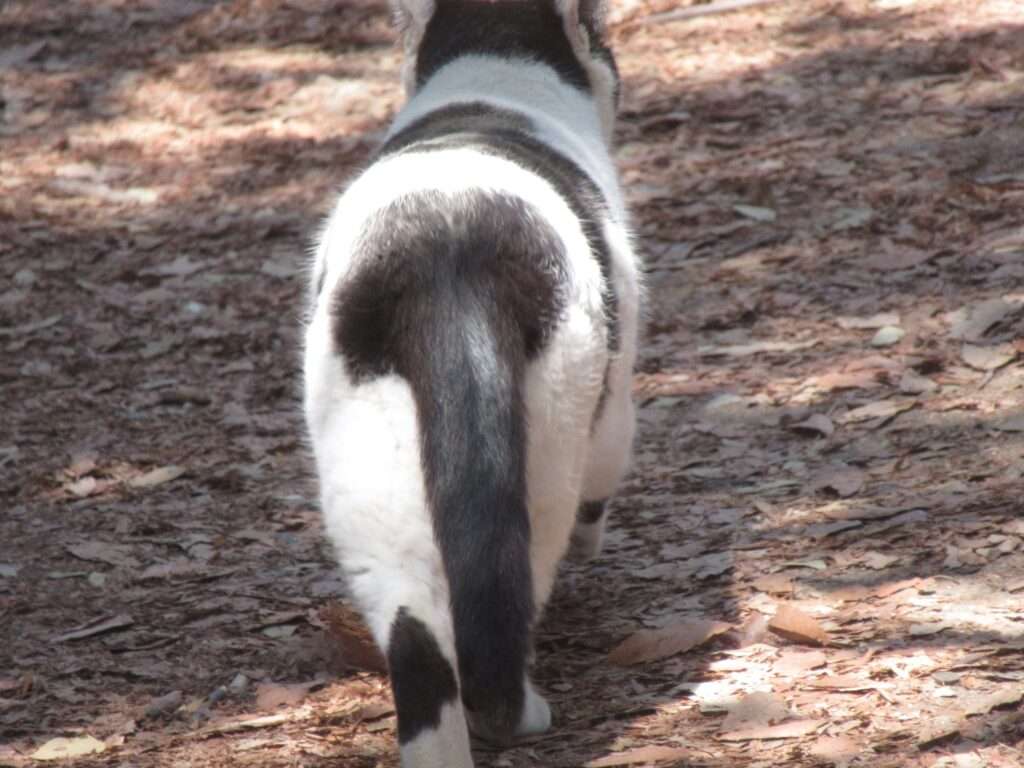 WILD CATS 先輩@王子が岳