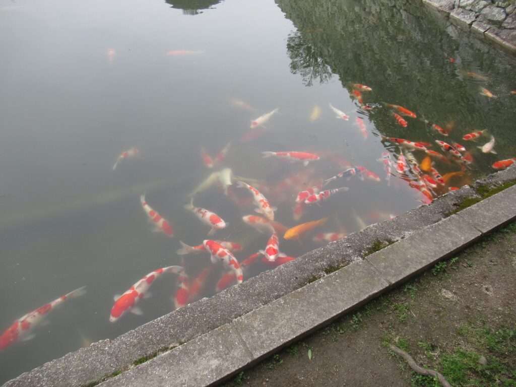三原城跡口@三原駅
