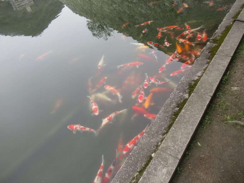 三原城跡口@三原駅