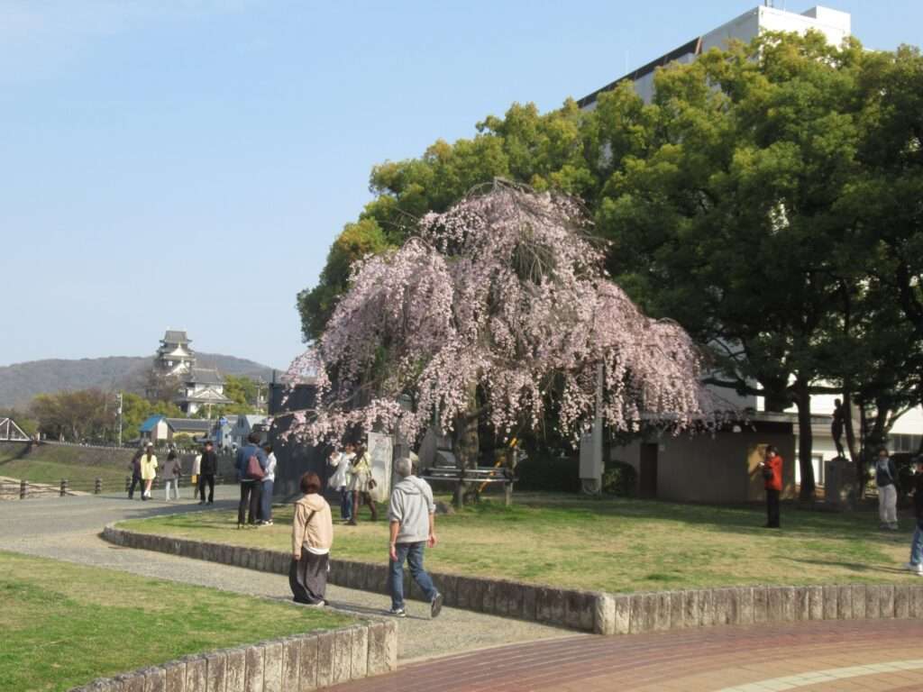 文化の十字路@石山公園