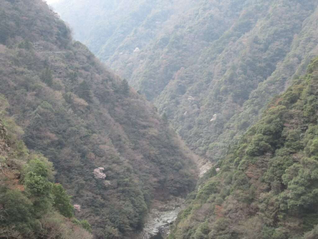 祖谷渓展望台(三好市)