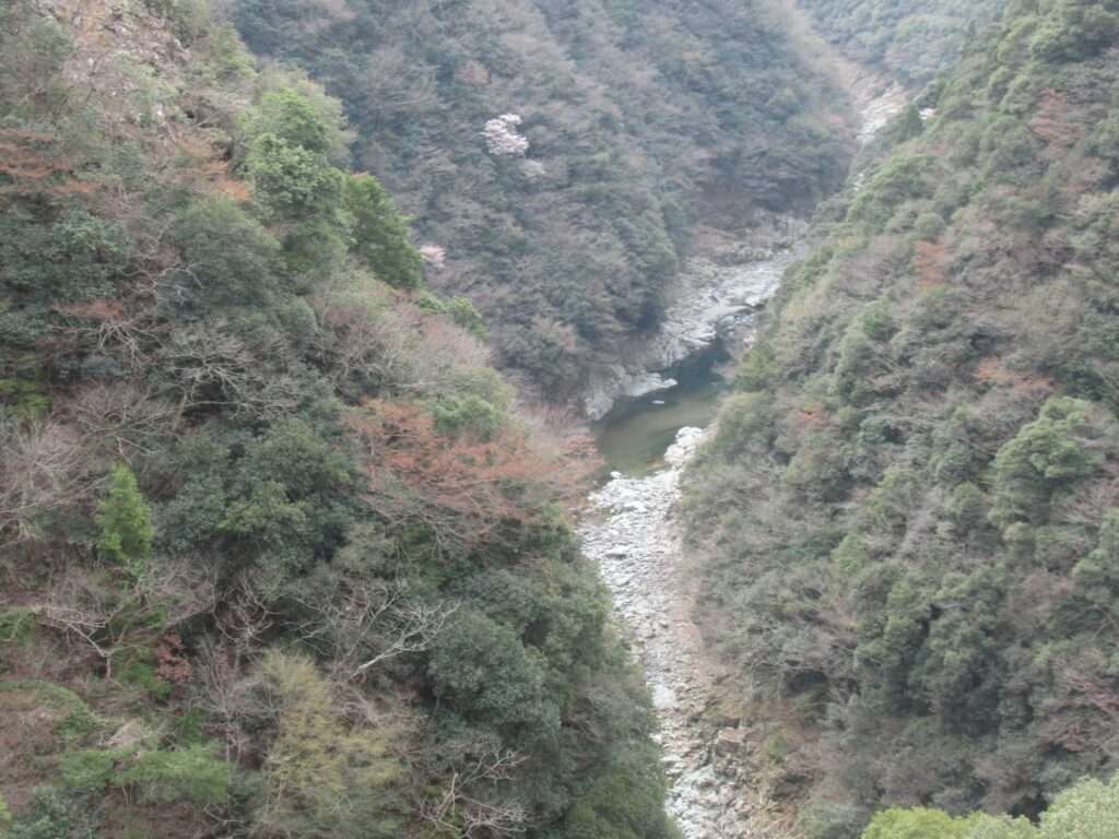 祖谷渓展望台(三好市)