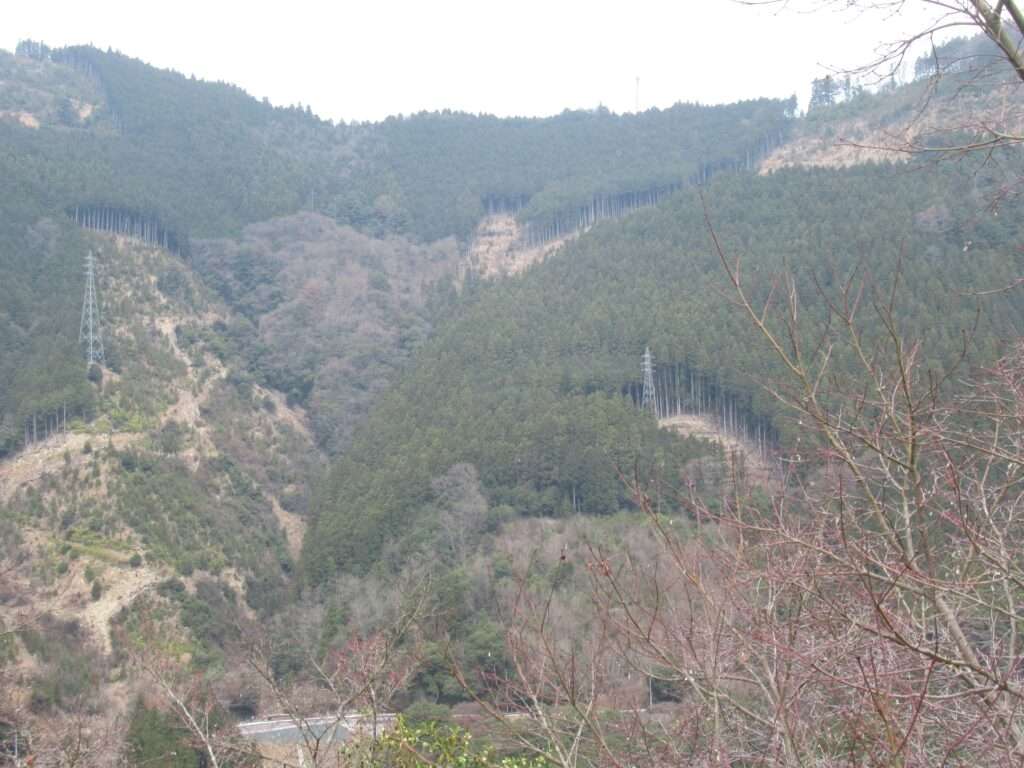 祖谷渓展望台(三好市)