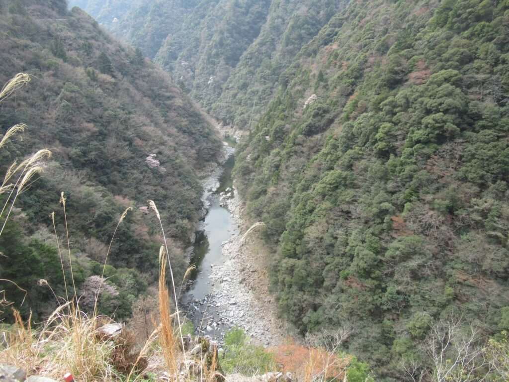 祖谷渓展望台(三好市)