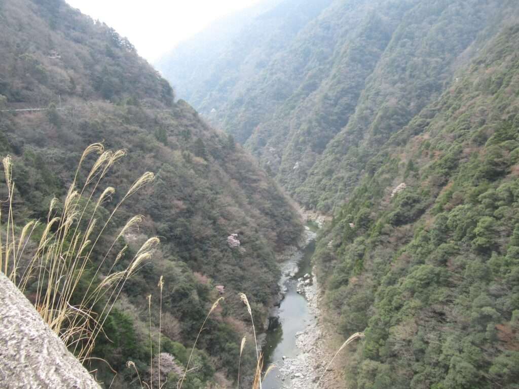 祖谷渓展望台(三好市)