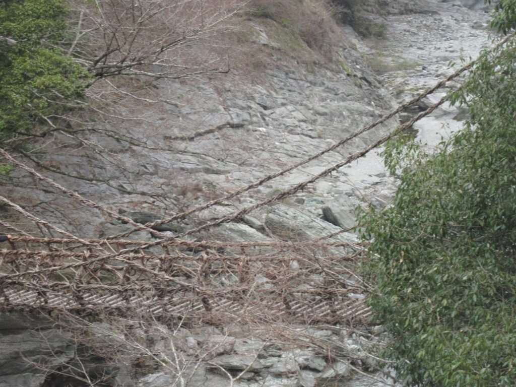 祖谷のかずら橋(三好市)