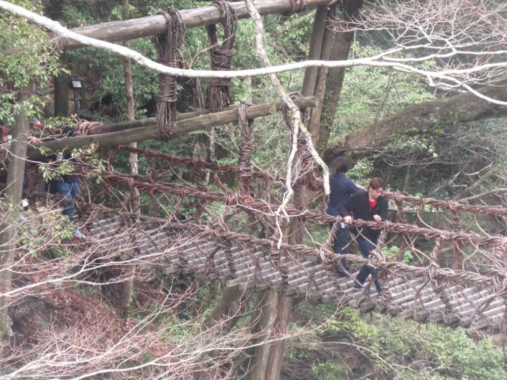 祖谷のかずら橋(三好市)