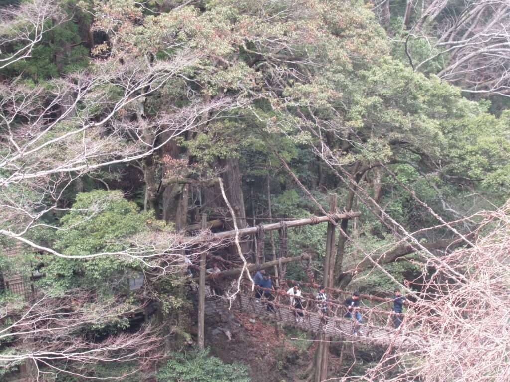 祖谷のかずら橋(三好市)