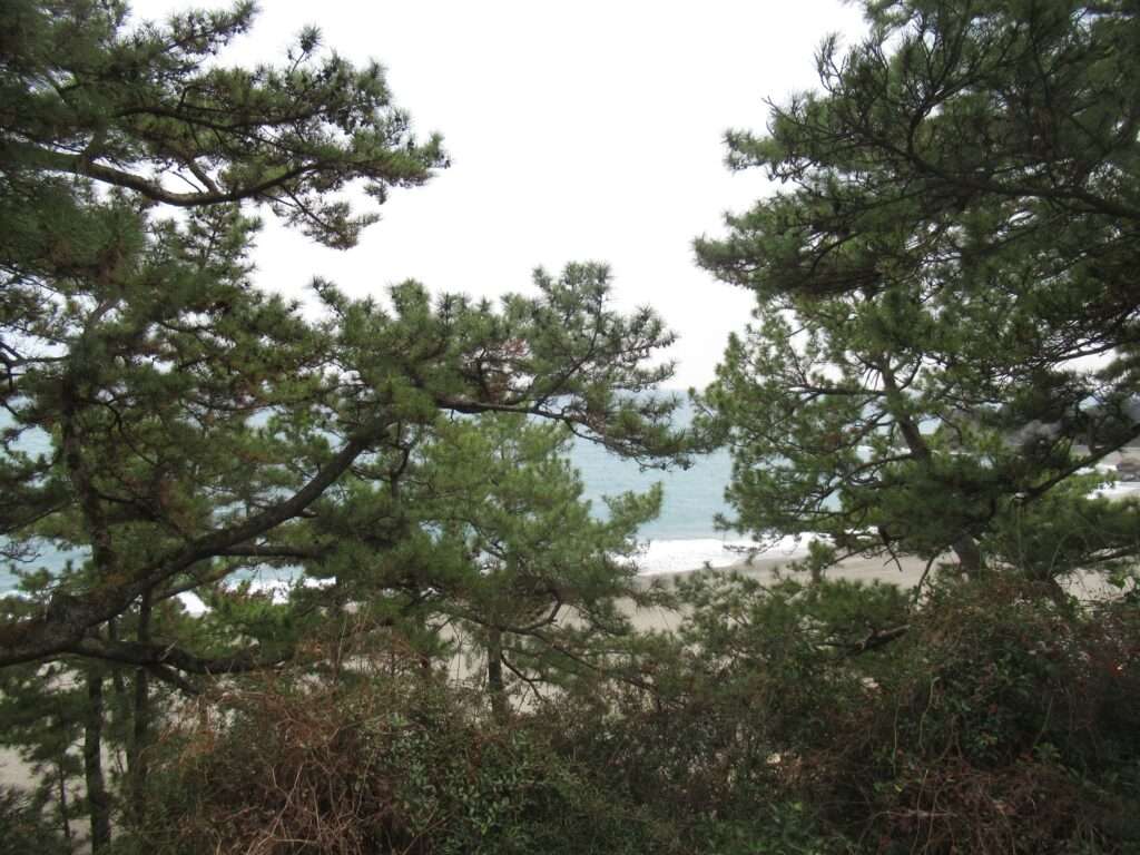 桂浜公園(高知市)