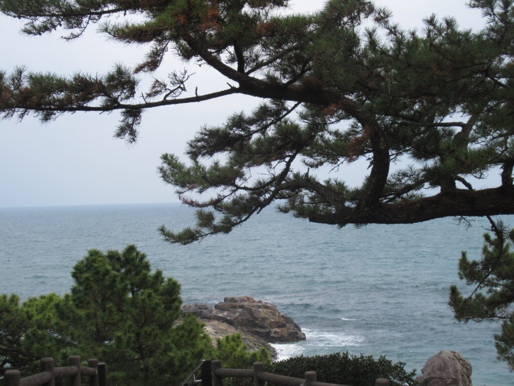 桂浜公園(高知市)