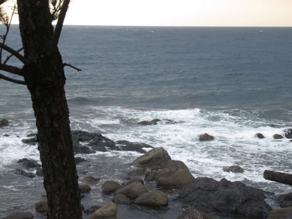 道の駅キラメッセ室戸(室戸市)