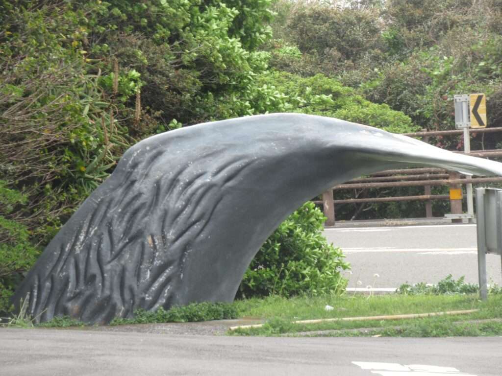 歓鯨@室戸岬