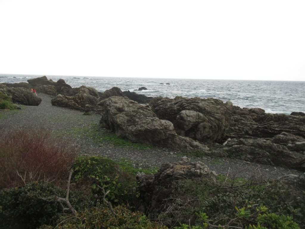 室戸岬(室戸市)