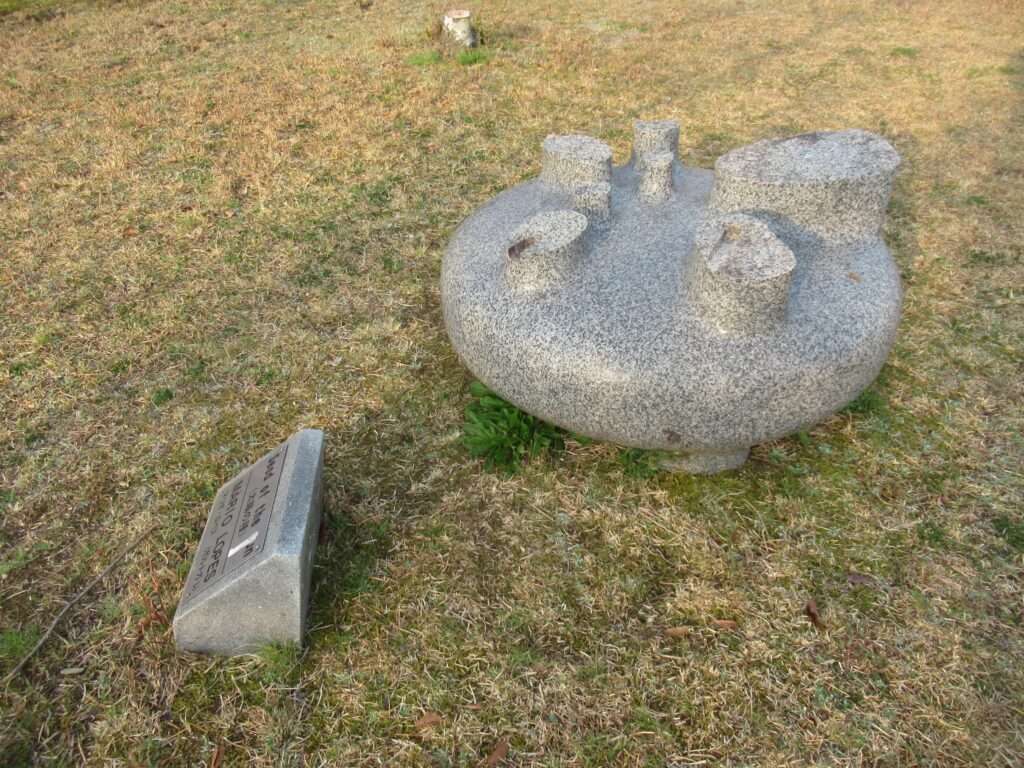 太陽の種@眉山公園