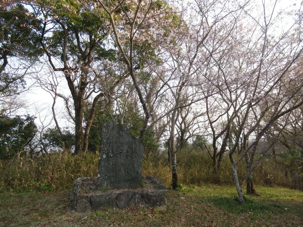 千本桜@眉山公園