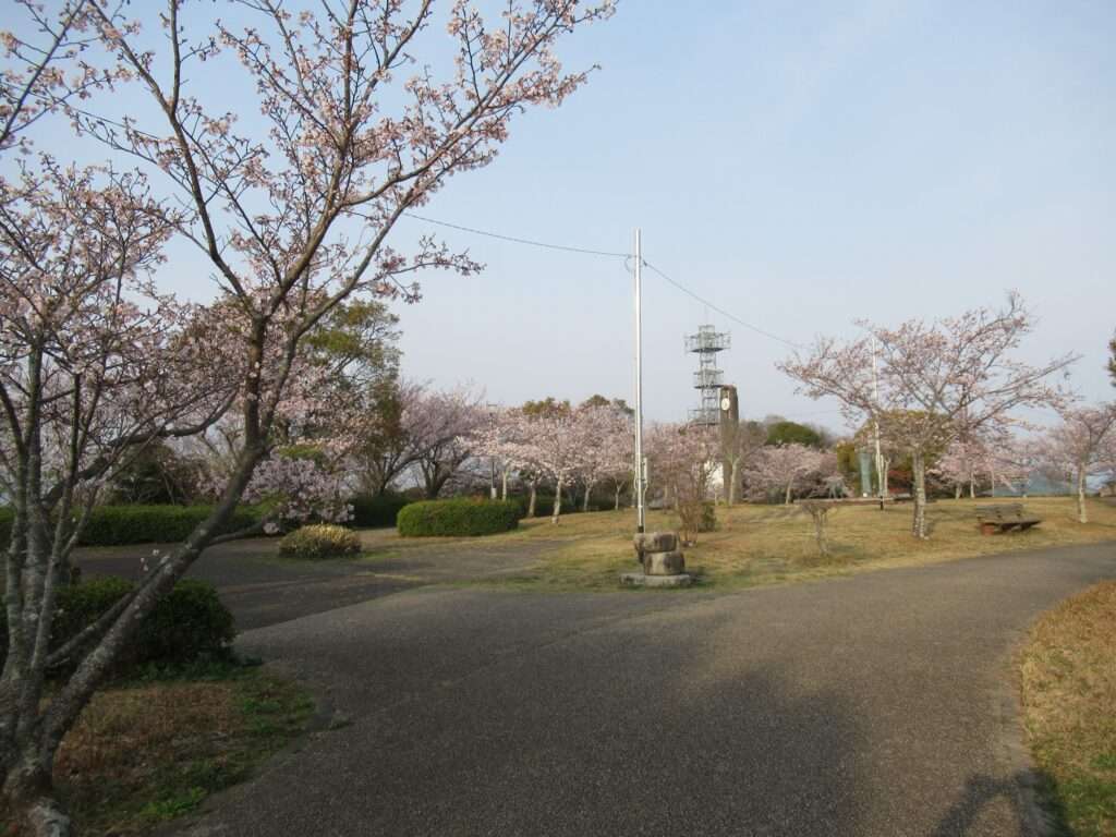 千本桜@眉山公園