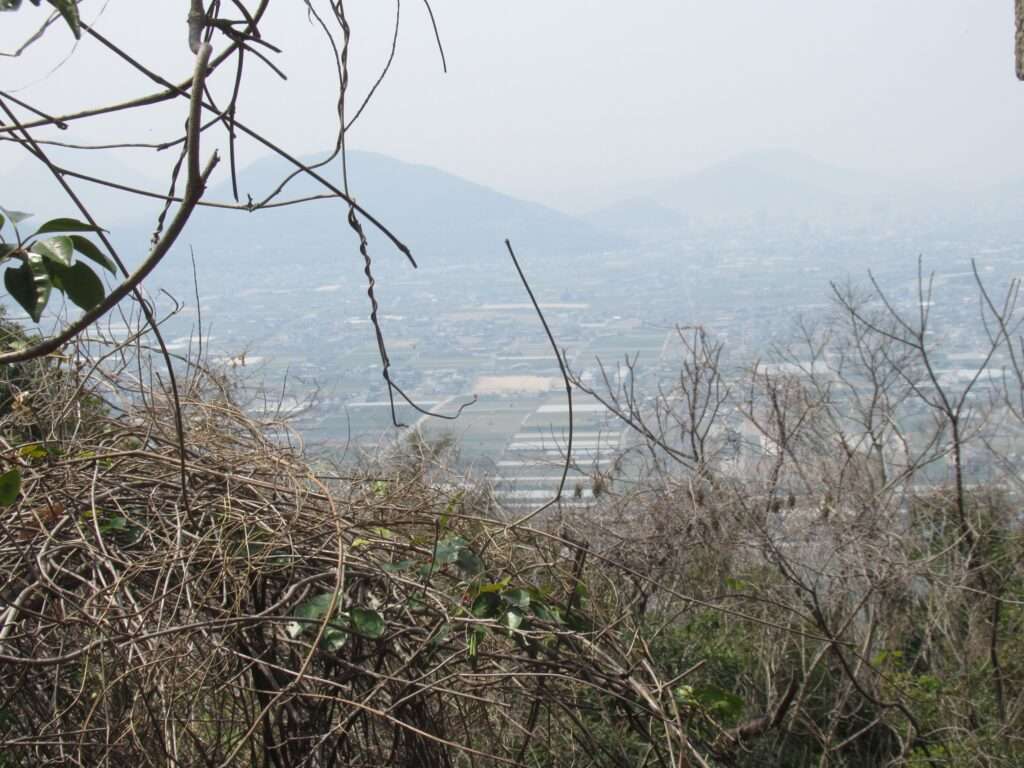 白峰展望台@五色台