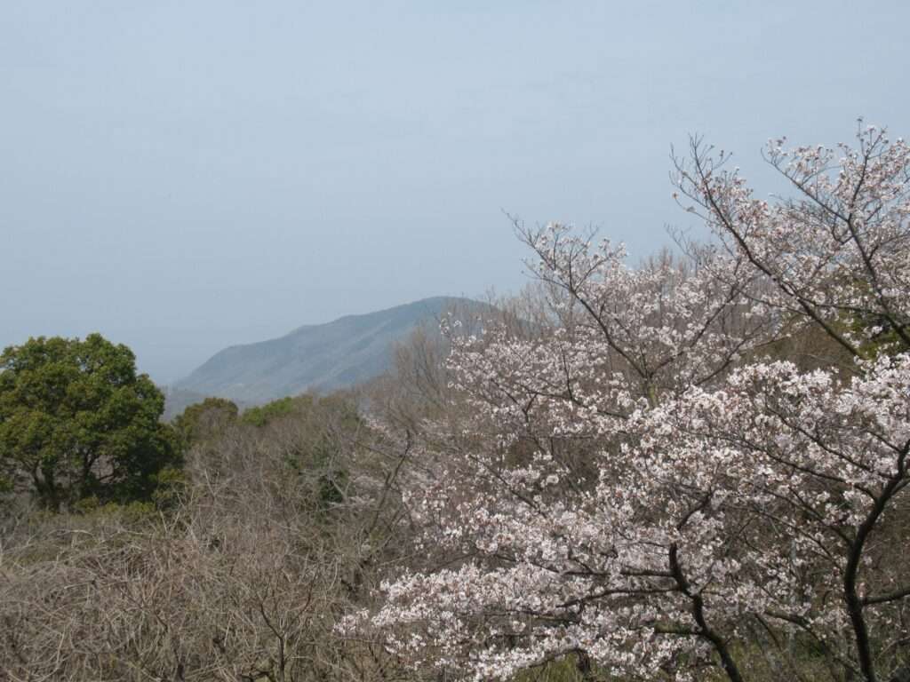 白峰展望台@五色台