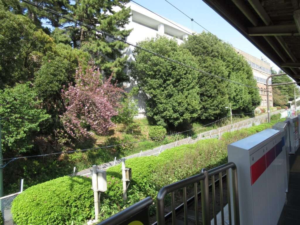 駒場東大前駅(京王電鉄)