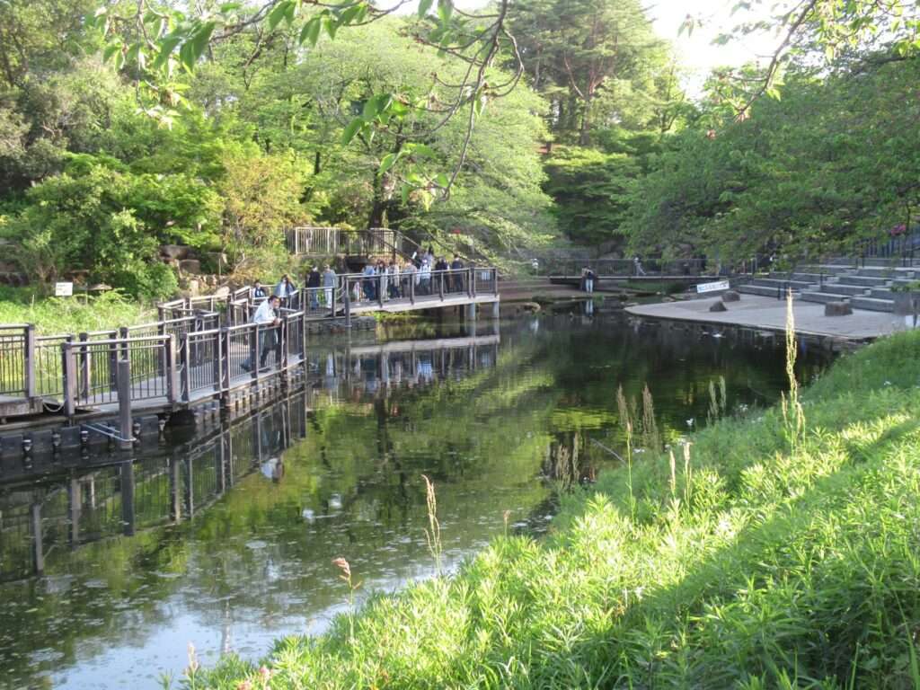 篠原池@岸根公園