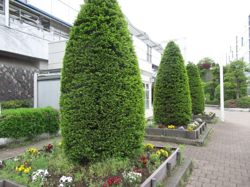 江田駅(東急電鉄)