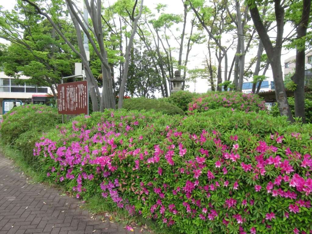すずかけ台駅(東急電鉄)