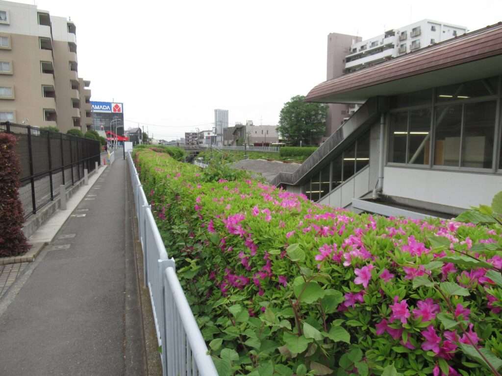 つきみ野駅(東急電鉄)