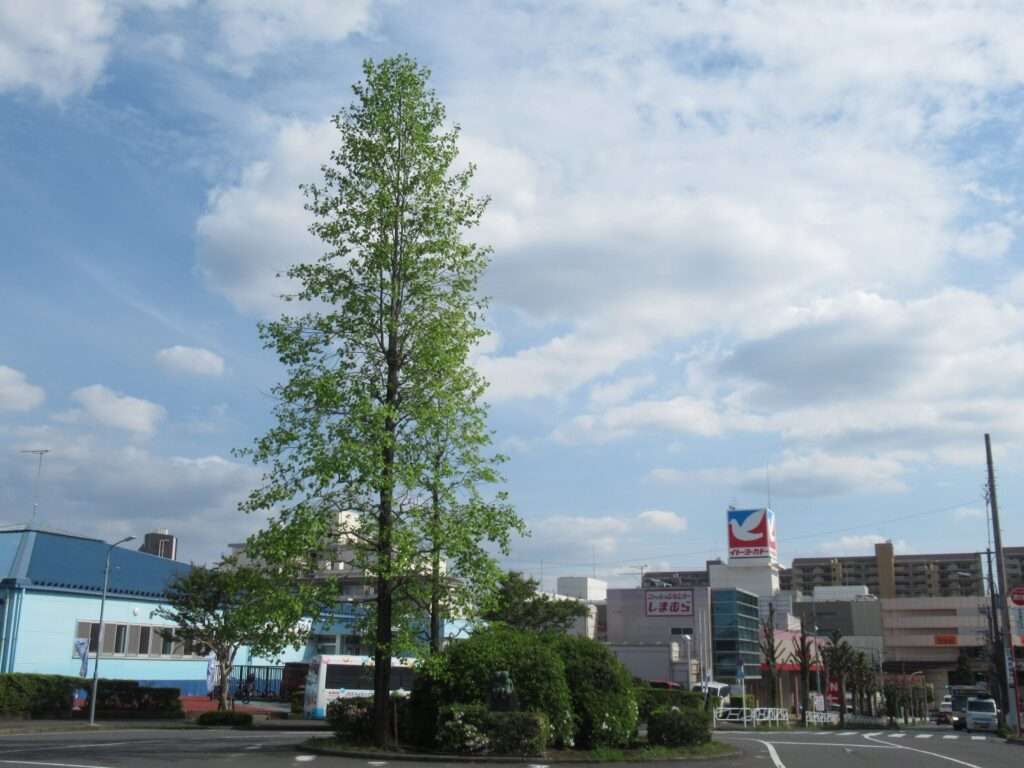 狭間駅(京王電鉄)