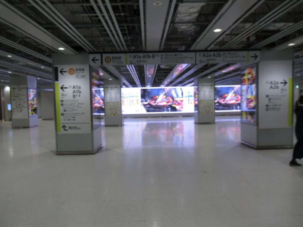 虎ノ門ヒルズ駅(東京メトロ)