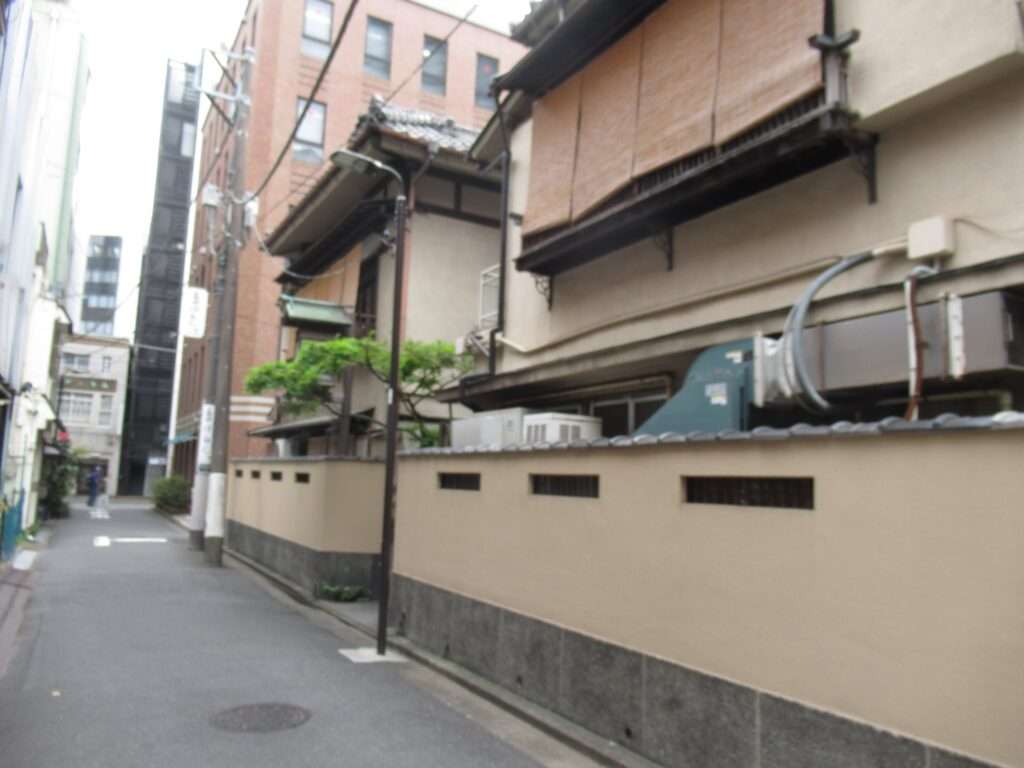 やぶそば周辺レトロゾーン(千代田区)