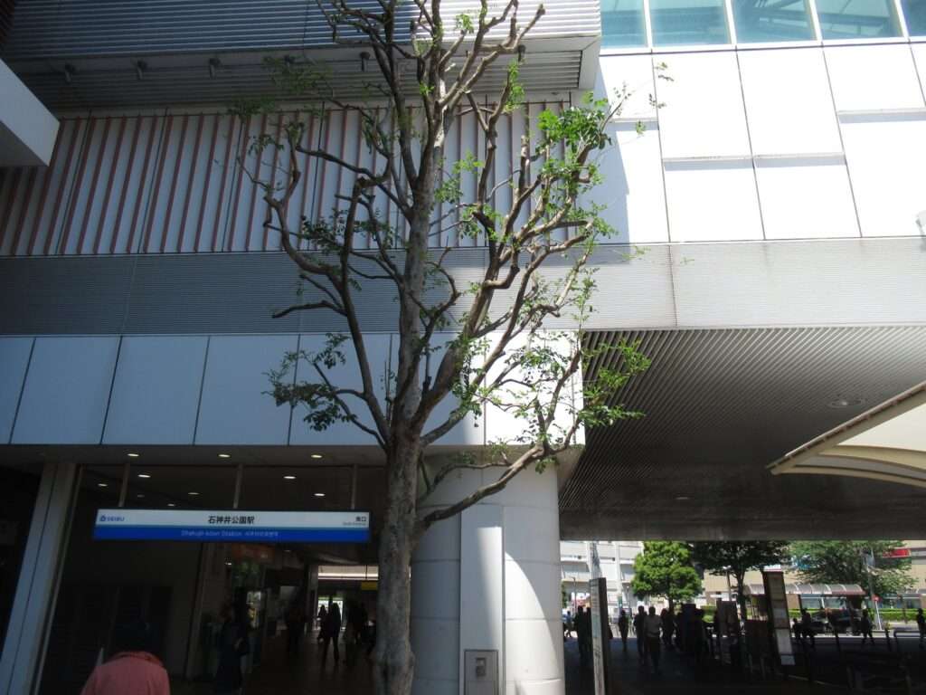 石神井公園駅(西武鉄道)