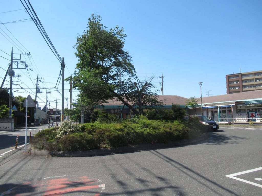 狭山ヶ丘駅(西武鉄道)