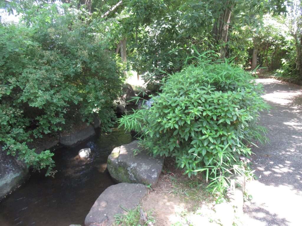 見沼代親水公園(足立区)