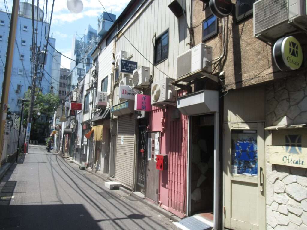 新宿ゴールデン街(新宿区)