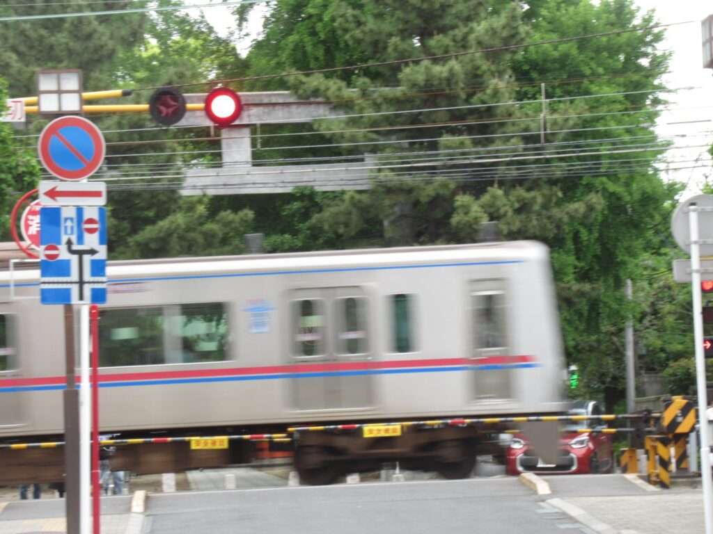 葛飾八幡宮参道(市川市)