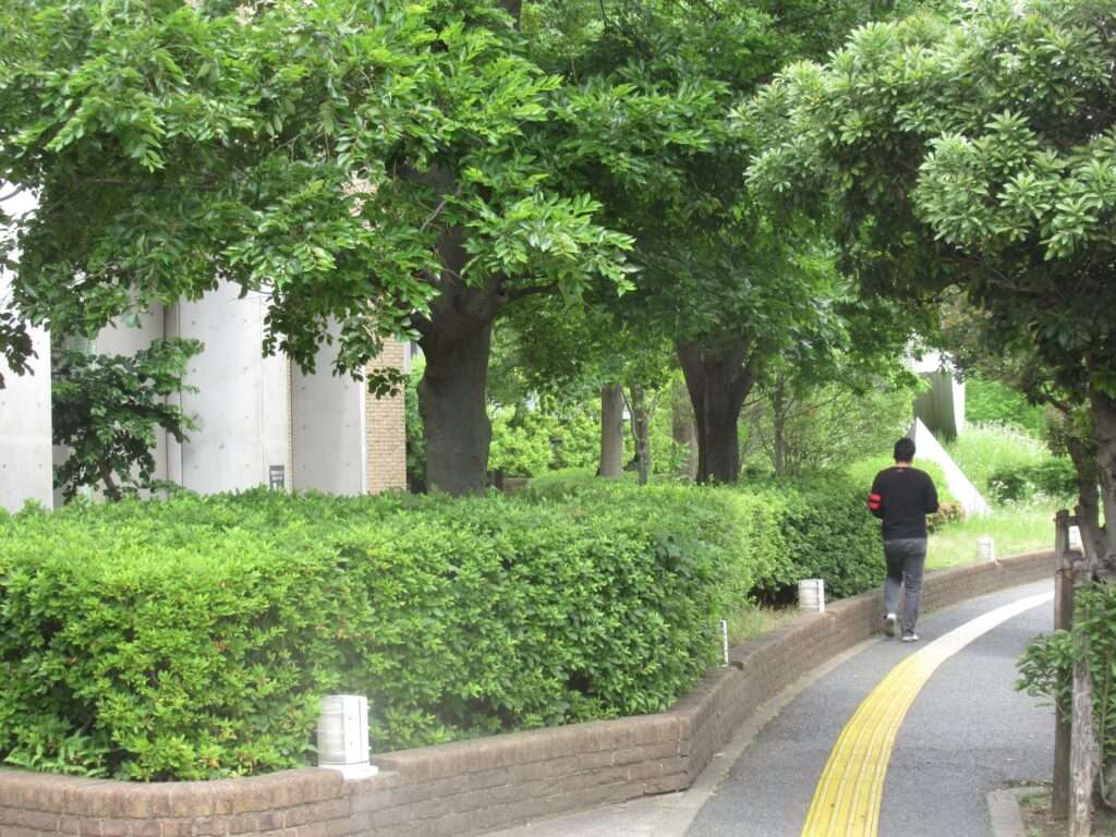 地生@市川市生涯学習センター