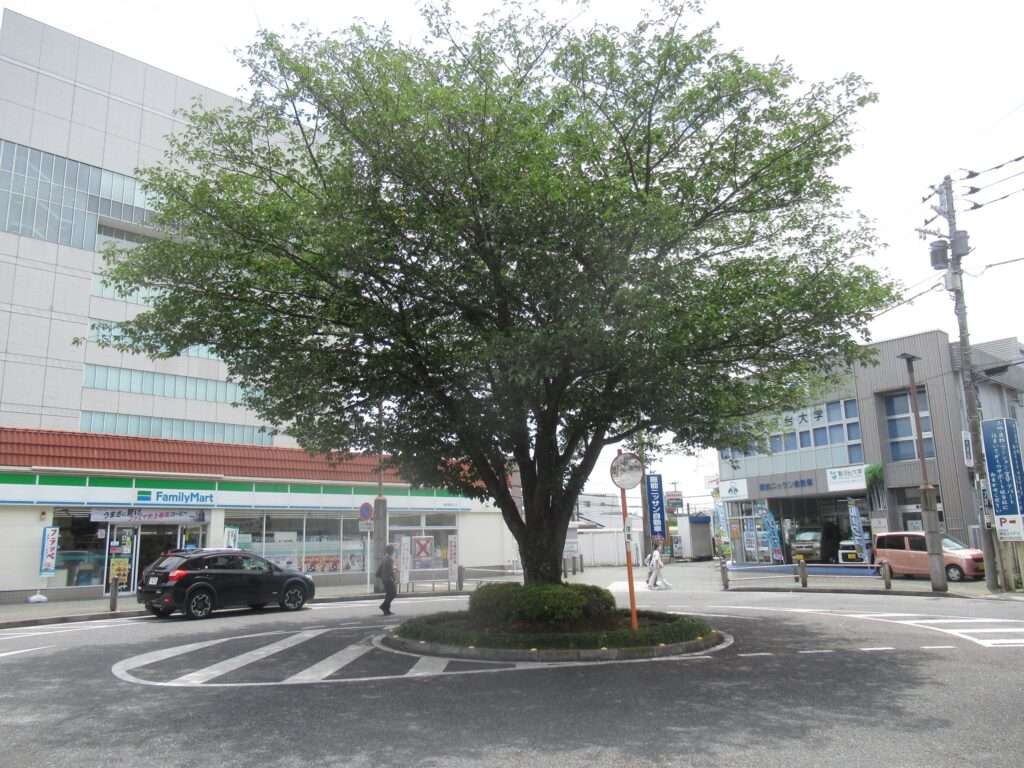 東飯能駅(JR東日本)