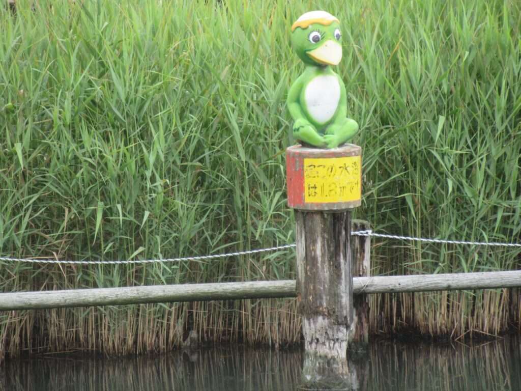 河童@横十間川