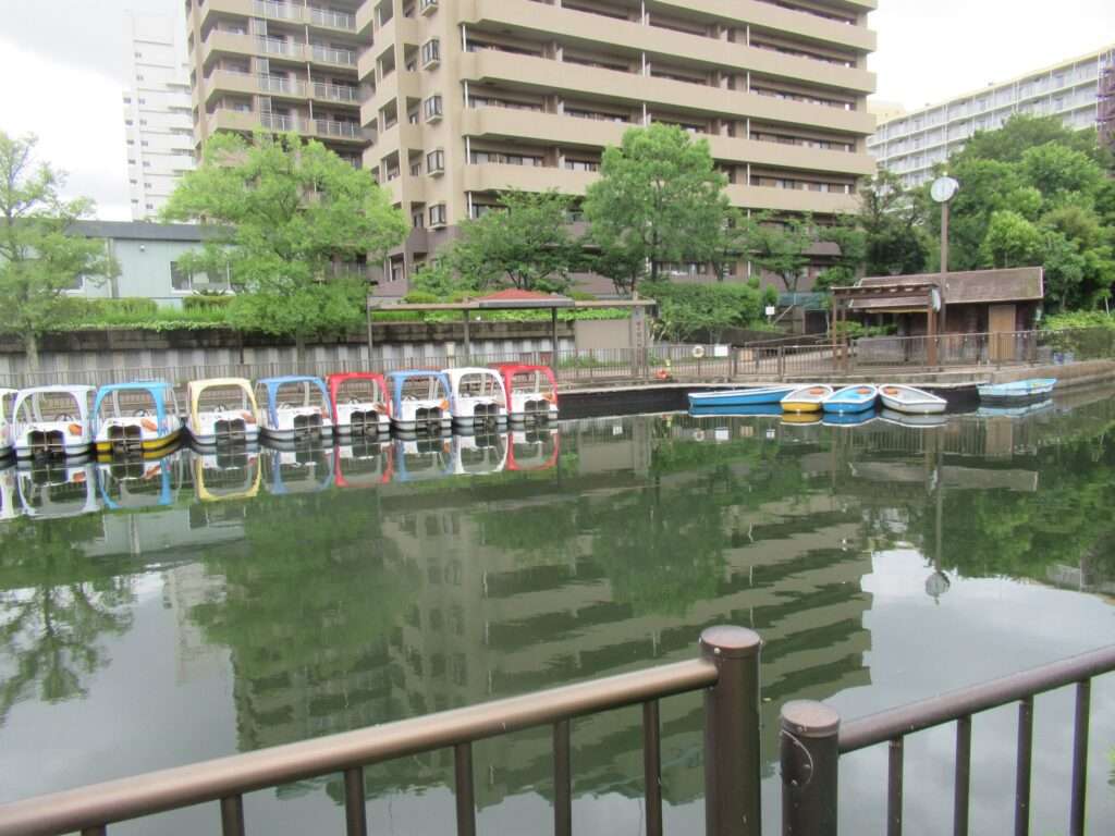 河童@横十間川