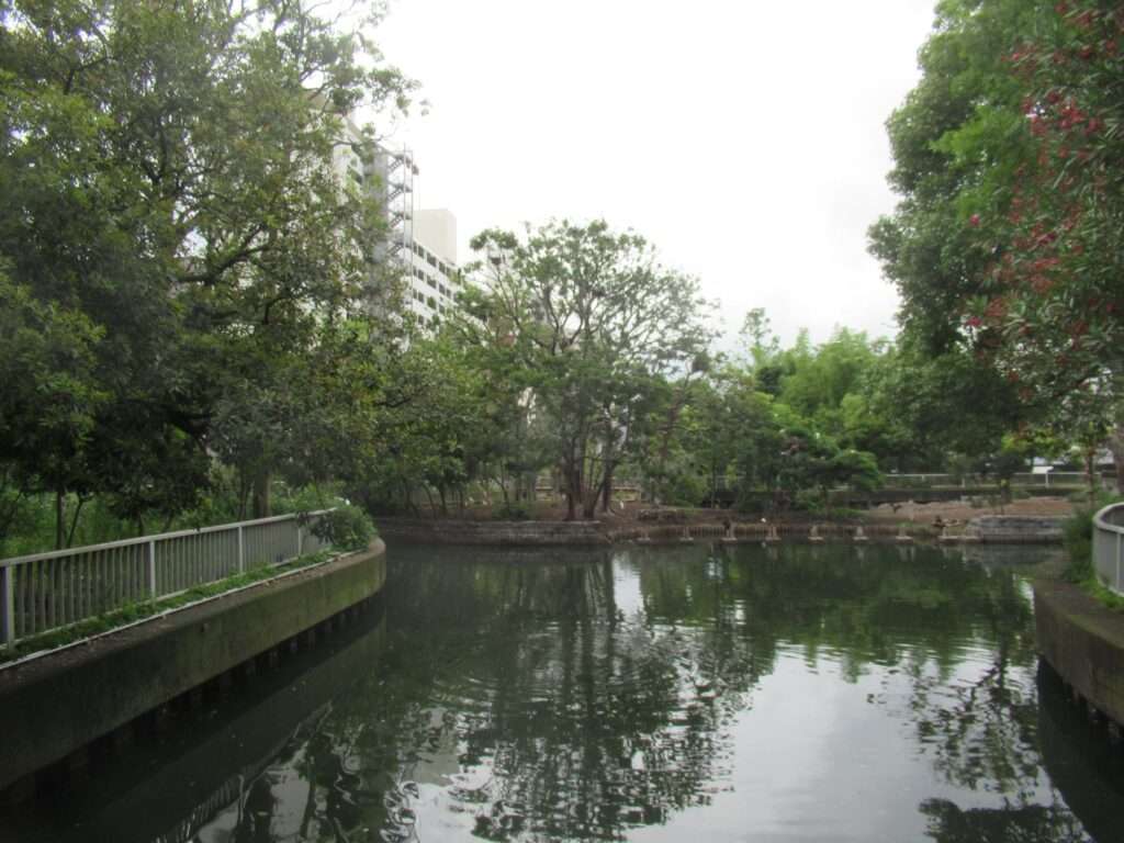 野鳥の島@横十間川親水公園
