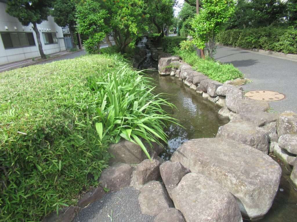 足のある風景@葛西親水四季の道 