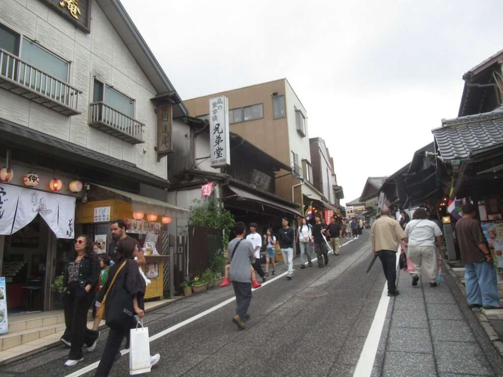 成田山表参道(成田市)