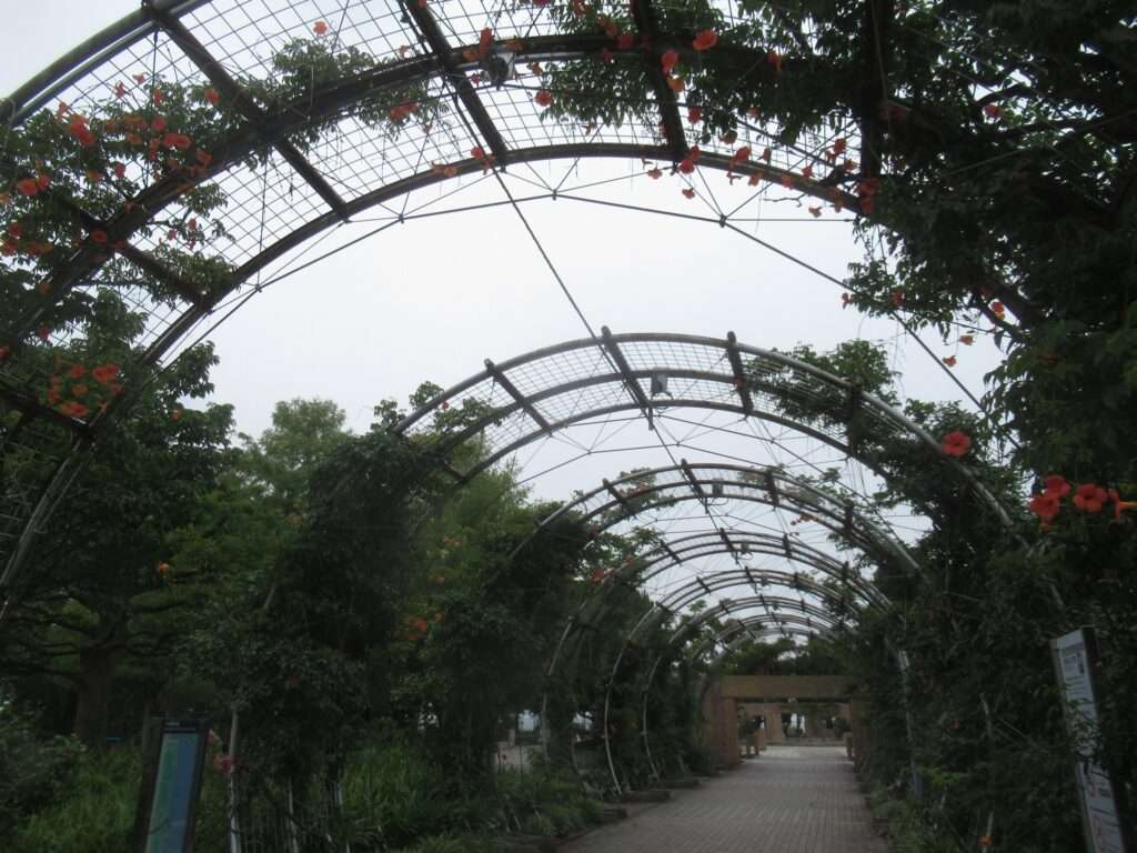 世界の広場@山下公園