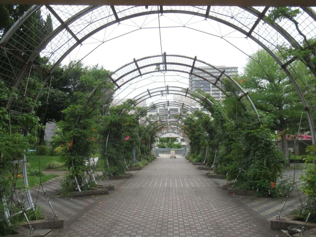 世界の広場@山下公園
