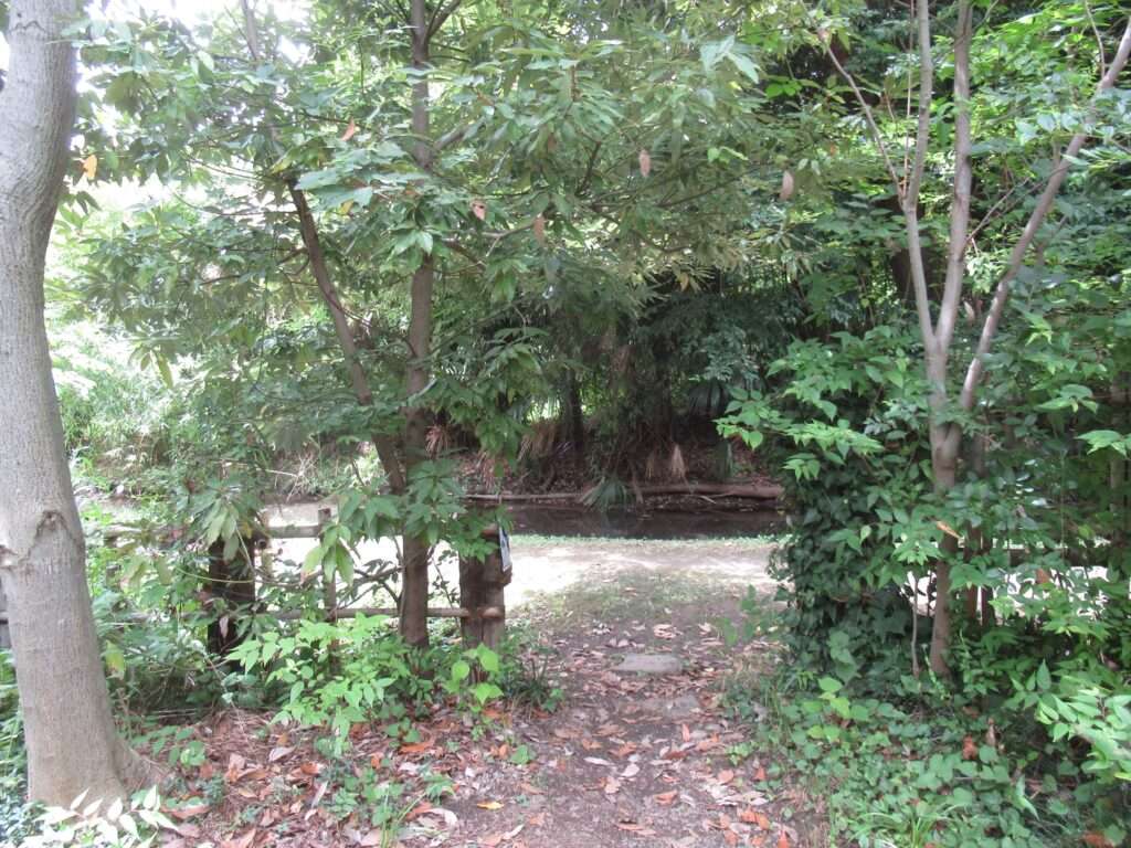 河童の森@南与野