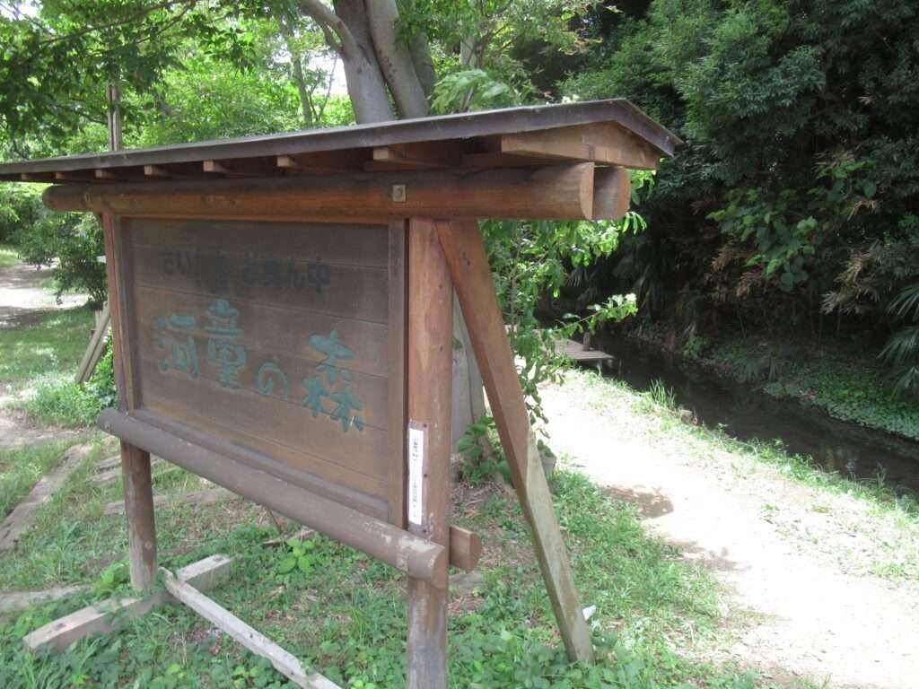 河童の森@南与野