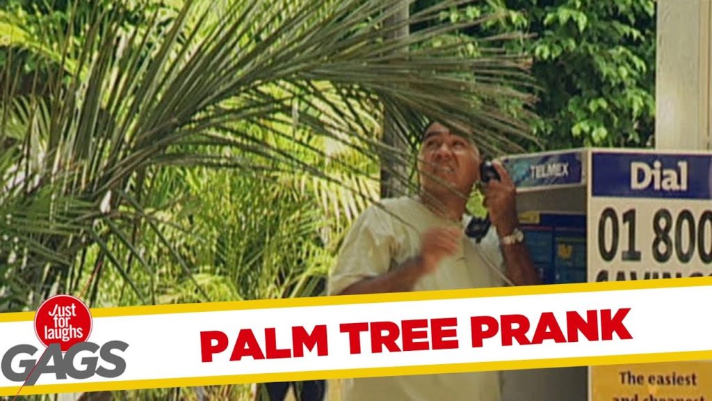 Annoying Palm Tree Gag