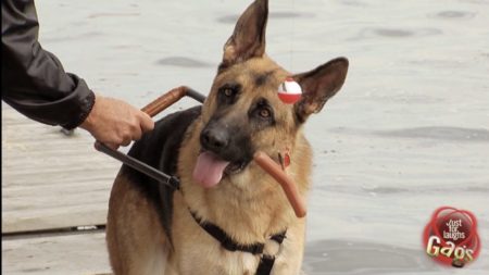 Blind Man Falls In Lake Prank